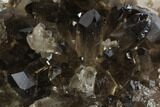 Dark Smoky Quartz Crystal Cluster - Brazil #84834-2